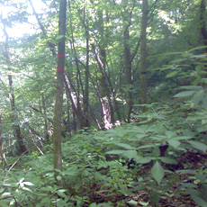 120716_p08.jpg