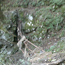 121007_p07.jpg