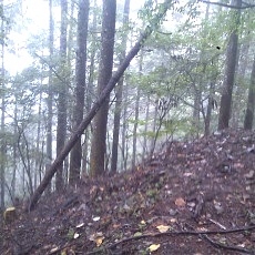 131006_p02.jpg