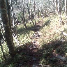 140504_p03.jpg