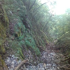 140913_p17.jpg