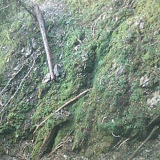 140913_p18.jpg