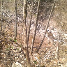 150429_p12.jpg