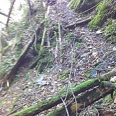 150905_p17.jpg