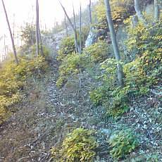 151025-02_p11.jpg