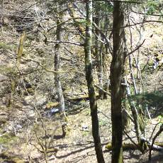 160505_p08.jpg