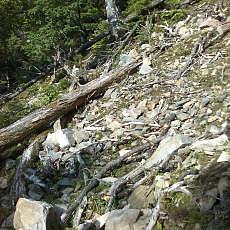 160603_p20.jpg