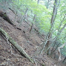 161010_p06.jpg