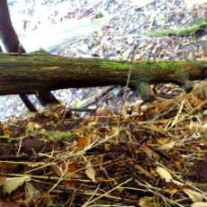 161029_p13.jpg