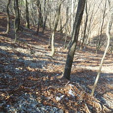 190302_p03.jpg