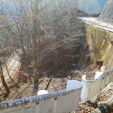 190302_p35.jpg