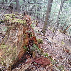 200024_p22.jpg