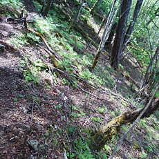 200605_p37.jpg