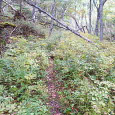 201004_p03.jpg