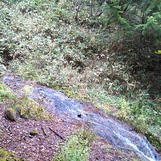 201004_p27.jpg