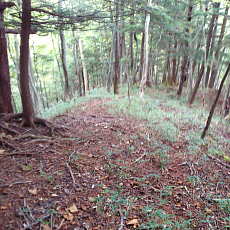 201004_p30.jpg