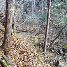 201117_p12.jpg