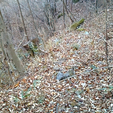 201206_p51.jpg