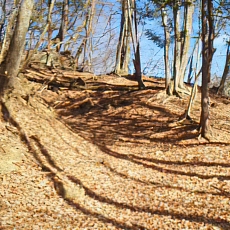 201206_p73.jpg