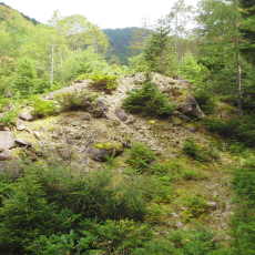 210916_p41.jpg