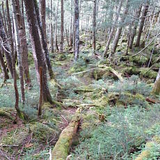 210930_p08.jpg