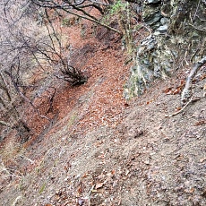220416_p01.jpg