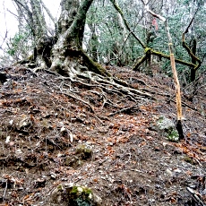 220416_p08.jpg