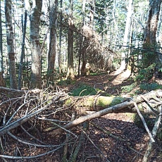 221028_p16.jpg