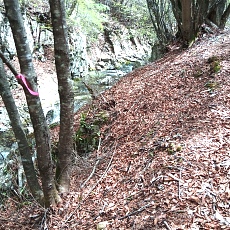 230502_p46.jpg