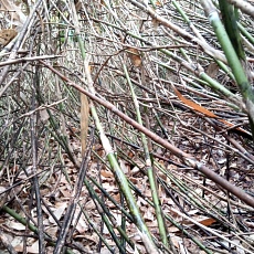 241022_p12.jpg