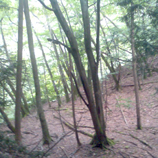 120916_p09.jpg