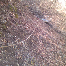 130316_p03.jpg