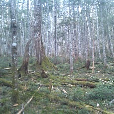 130606_p23.jpg
