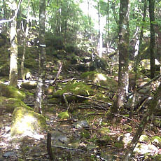 130623_p09.jpg
