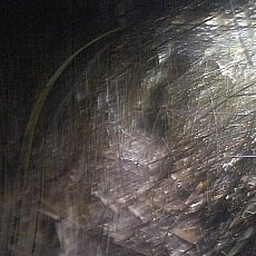 131006_p17.jpg