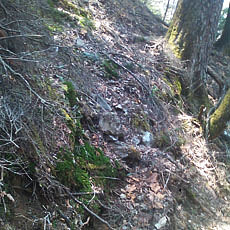 140427_p15.jpg