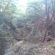 140913_p26.jpg