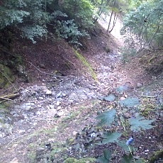 140922_p30.jpg
