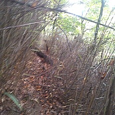 141004_p18.jpg