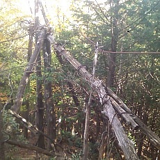 141020_p10.jpg
