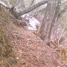 141210_p07.jpg
