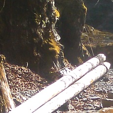 150330_p34.jpg