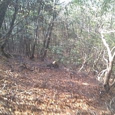 150429_p36.jpg