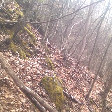 150429_p37.jpg