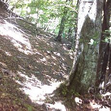 160603_p06.jpg