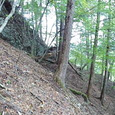 161010_p10.jpg