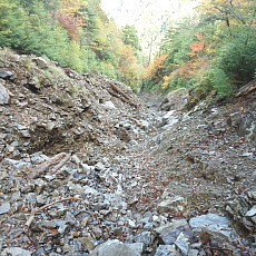 171008_p13.jpg