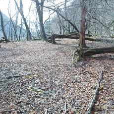 180412_p04.jpg