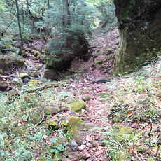 201004_p05.jpg