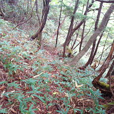 201004_p35.jpg